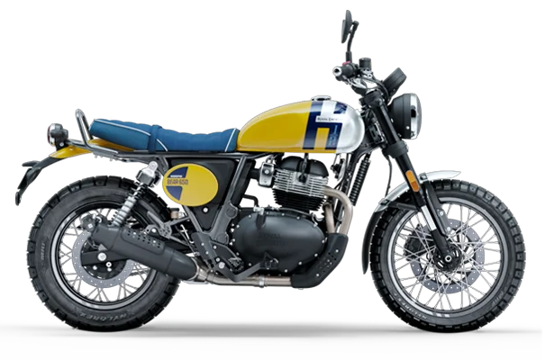 Bear 650 — Wild Honey